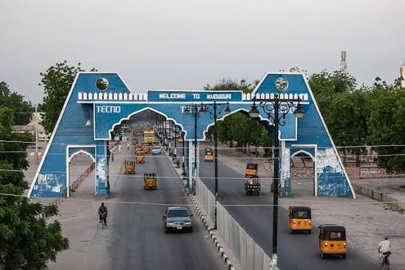 Cholera Surge Puts Pressure on Borno Health Response.