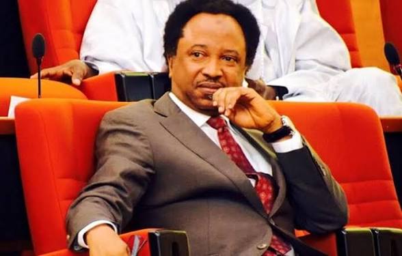 Shehu Sani Pushes Debate On Lawmakers’ Role Ahead Of Senate Return.