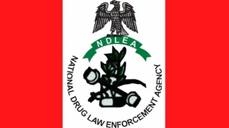 NDLEA Raid Uncovers International Drug Network In Nigeria.